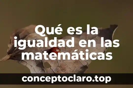 Qué es la igualdad en las matemáticas