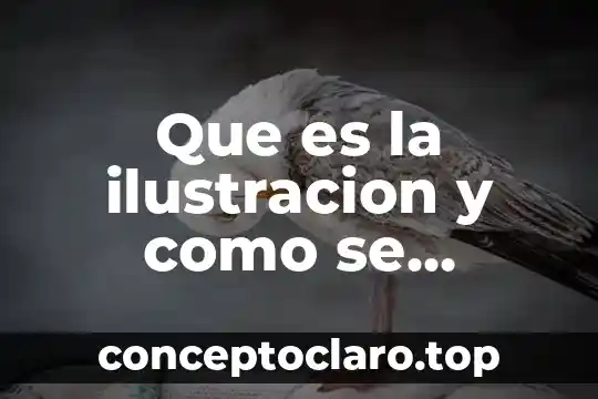 Que es el plan director de desarrollo urbano acapulco 3 Que es la ilustracion y como se desarrollo