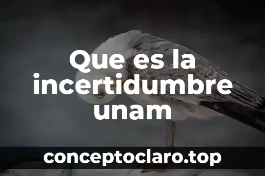 Que es la incertidumbre unam