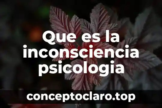 Que es la inconsciencia psicologia