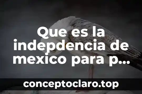 Que es la indepdencia de mexico para p rimaira