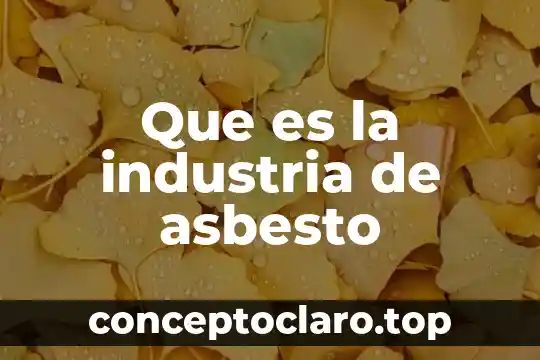 Por que es que se cataloga una industria minera 6 Que es la industria de asbesto