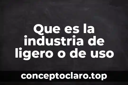 Que es el uso de preterito para señalar acciones pasadas 6 Que es la industria de ligero o de uso