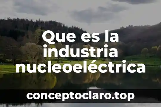 Por que es que se cataloga una industria minera 5 Que es la industria nucleoeléctrica
