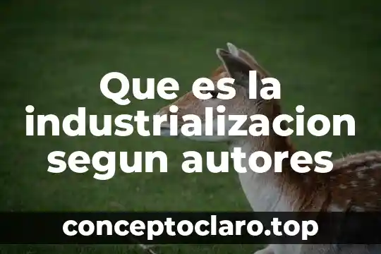 Que es la industrializacion segun autores