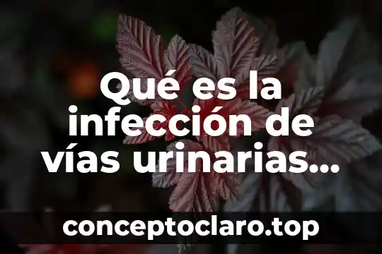 Que es bueno para una infeccion de las vias urinarias 3 Qué es la infección de vías urinarias definición