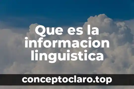 Que es la informacion linguistica