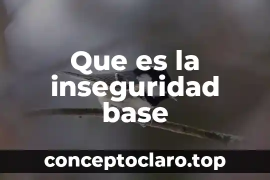 Que es la inseguridad base