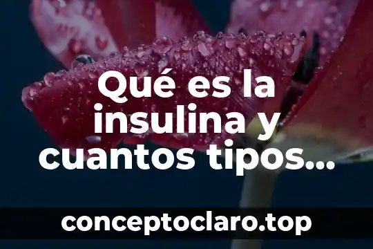 Qué es la insulina y cuantos tipos hay