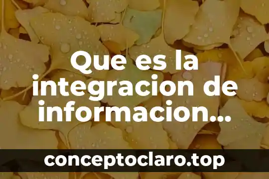 Que es la integracion de informacion textual