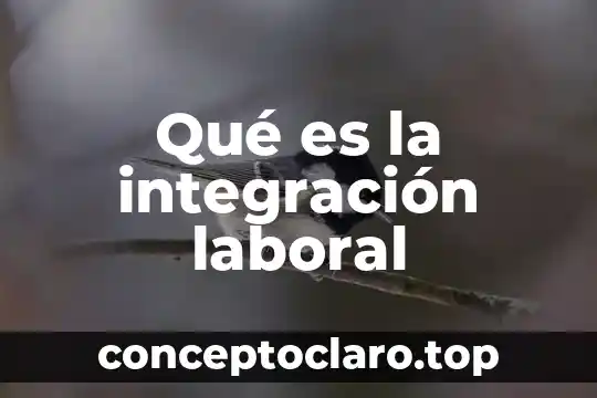 Que es historicidad integración 3 Qué es la integración laboral