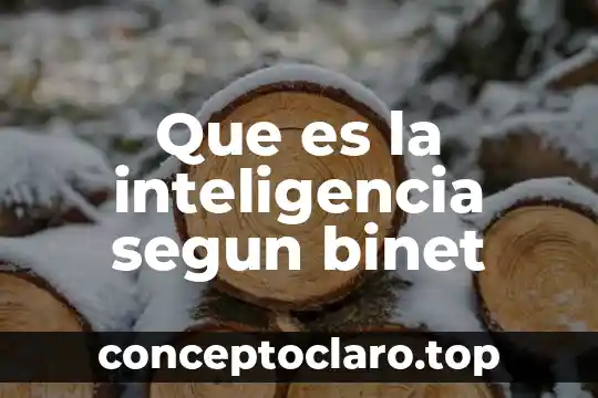 Que es la inteligencia segun binet