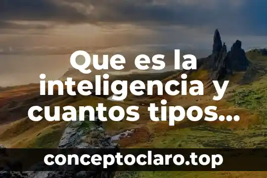 Qué es un curriculum y cuantos tipos existen 6 Que es la inteligencia y cuantos tipos hay