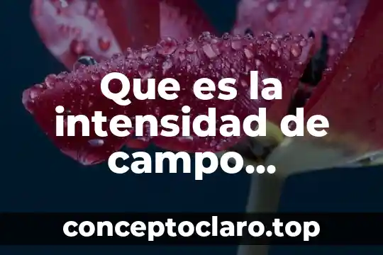 Que es la intensidad de campo electrico definicion