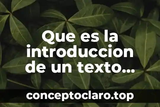 Que es la presentacion texto introductivo 7 Que es la introduccion de un texto ejemplo