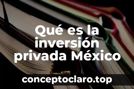 Que es maruja en mexico 3 Qué es la inversión privada México