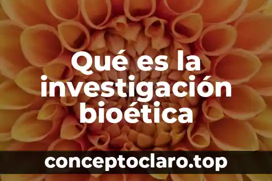 Qué es la investigación bioética