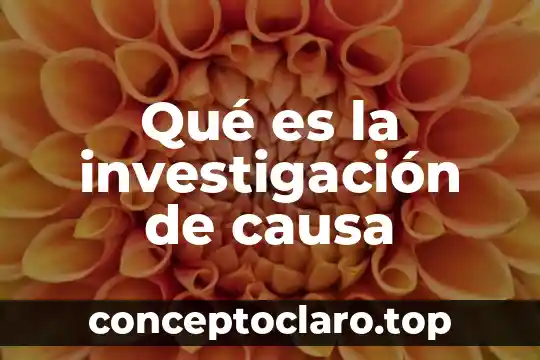 Que es significa sin causa legitima 6 Qué es la investigación de causa
