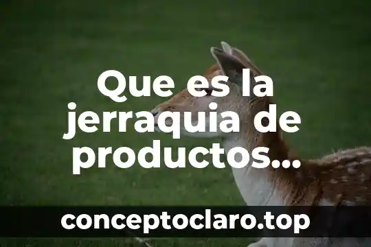 Apertura al capital y productos extranjeros que es 3 Que es la jerraquia de productos informacionobjetiva