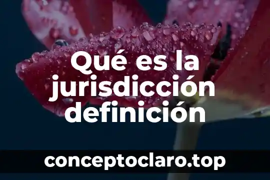 Que es la jurisdiccion y sus formas 6 Qué es la jurisdicción definición