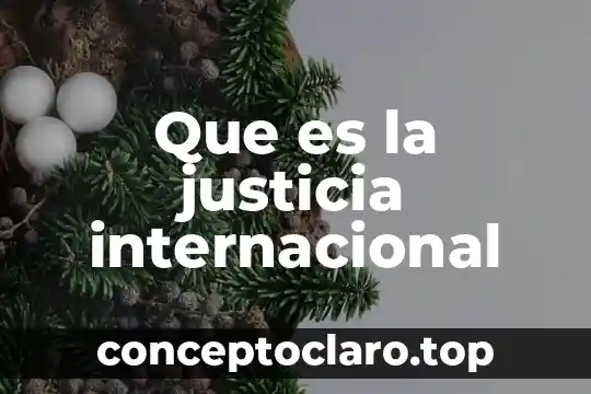 Que es hacerle justicia a una persona 3 Que es la justicia internacional