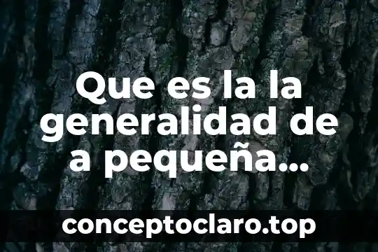 Que es una generalidad de un objeto 4 Que es la la generalidad de a pequeña empresa