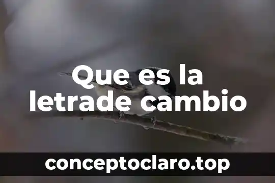 Que es derechosan petersburgo porque cambio el nombre 4 Que es la letrade cambio
