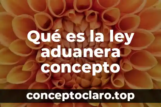 Qué es la ley aduanera concepto