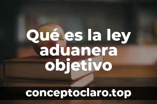 Qué es la ley aduanera objetivo