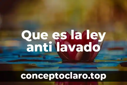 Qué es la protección anti fallo de alimentación 3 Que es la ley anti lavado