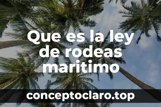 Que es una ley autoaplicativa 6 Que es la ley de rodeas maritimo