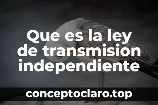 Que es la ley de transmision independiente