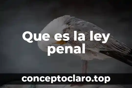 Que es un testigo experto en materia penal 3 Que es la ley penal