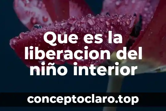 Que es un niño recien nacido de alto riesgo 5 Que es la liberacion del niño interior