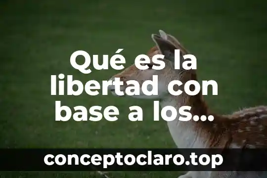 Qué es la libertad con base a los determinismos