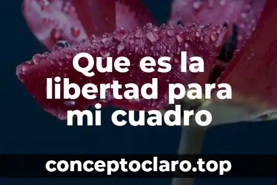 Que es la libertad para mi cuadro