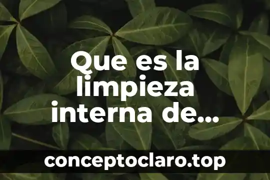Que es el acto de la libertad interna y externa 4 Que es la limpieza interna de motor