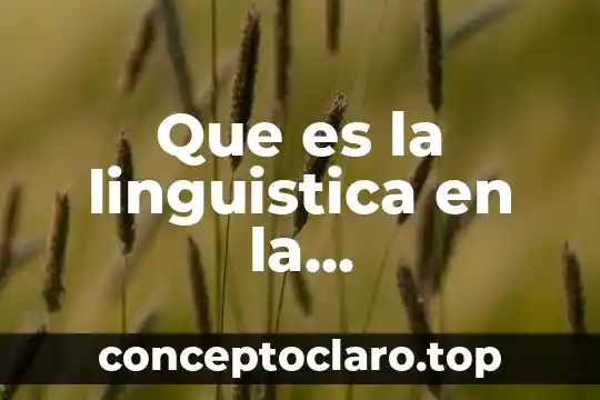 Que es la comunicacion medico paciente 6 Que es la linguistica en la comunicacion