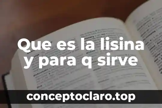 Que es la lisina y para q sirve