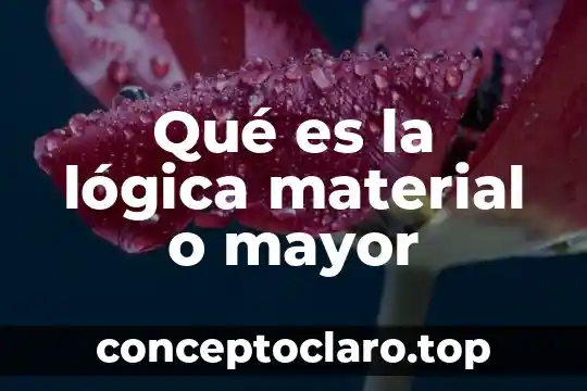 Qué es la lógica material o mayor