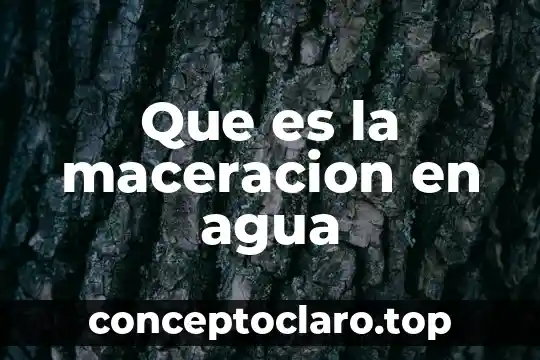 Que es flan dea agua 4 Que es la maceracion en agua