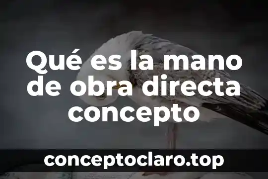 Qué es la mano de obra directa concepto