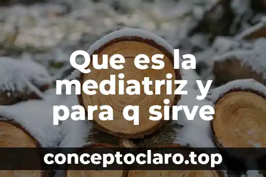 Que es la mediatriz y para q sirve
