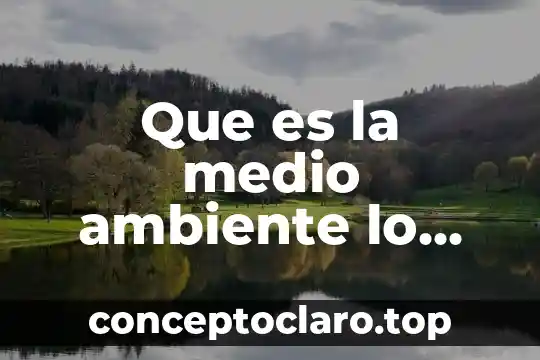 Qué es un ambiente público 8 Que es la medio ambiente lo mas importante