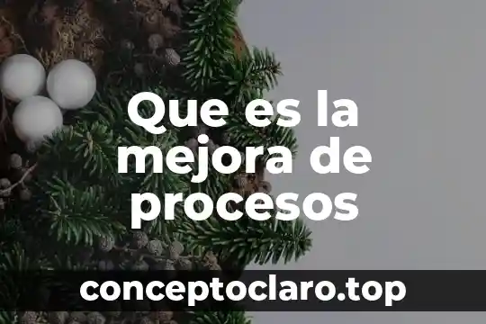 Que es la mejora de procesos