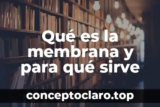 Qué es la membrana y para qué sirve