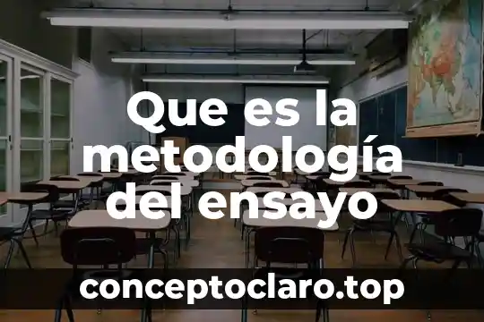 Que es un ensayo para que y cuando se utiliza 3 Que es la metodología del ensayo