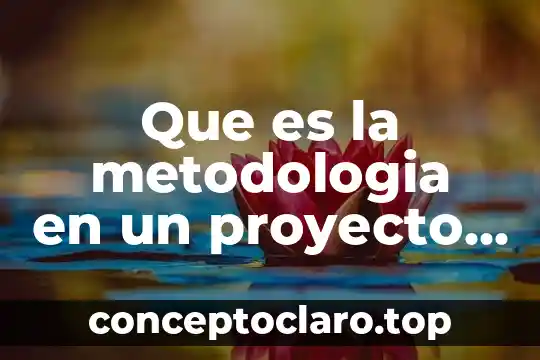 Que es la metodologia en un proyecto de investigacion ejemplo