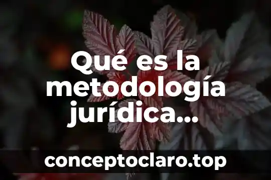 Qué es la metodología jurídica concepto