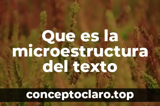 Que es la presentacion texto introductivo 3 Que es la microestructura del texto